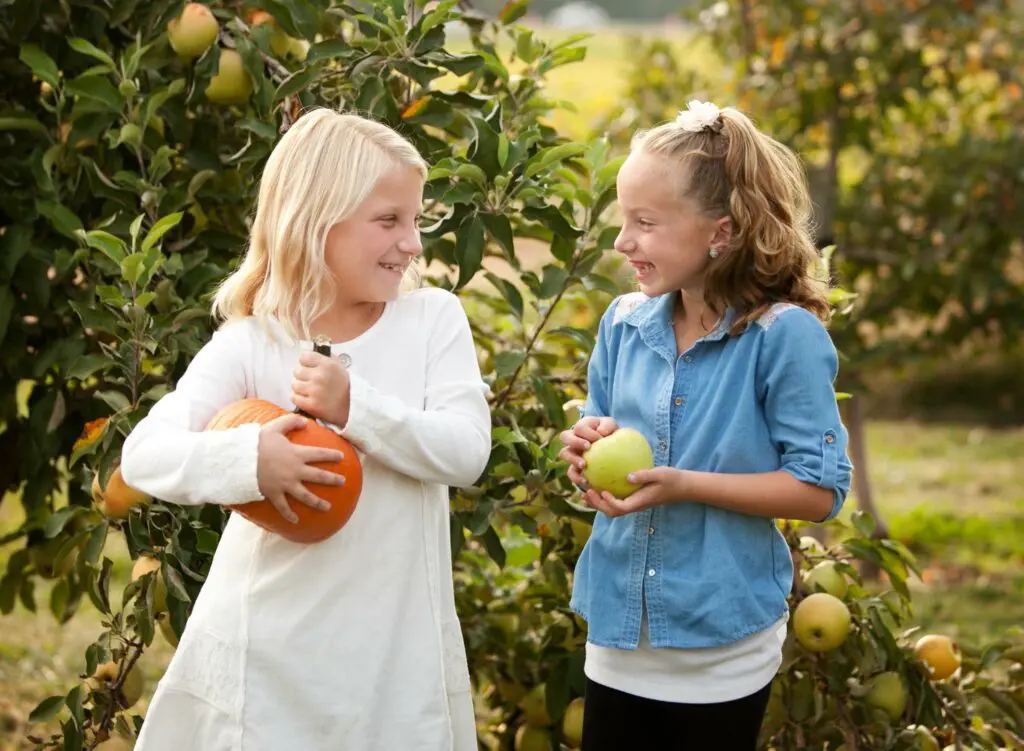 Picking in the orchard
