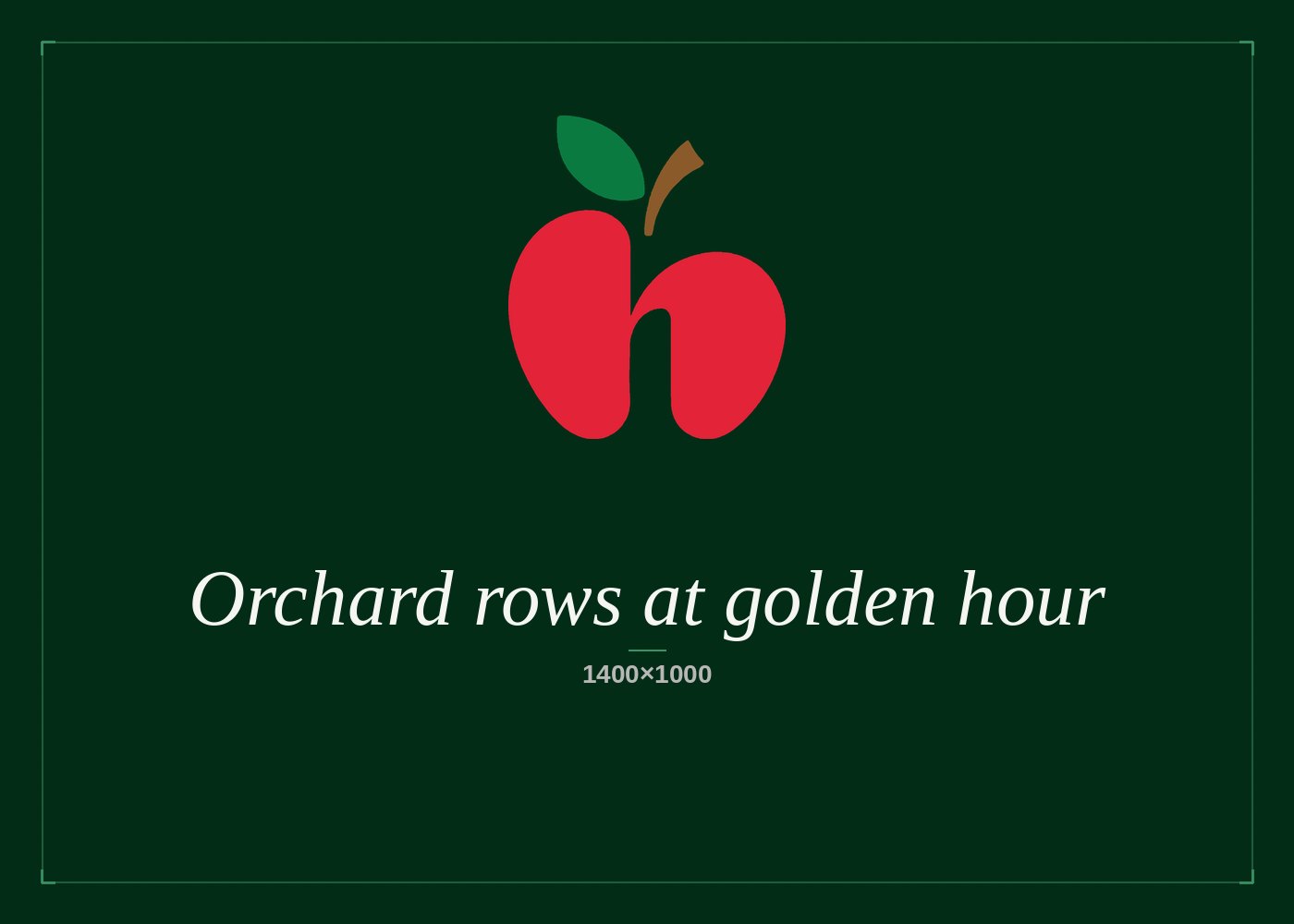 Hero orchard rows at golden hour