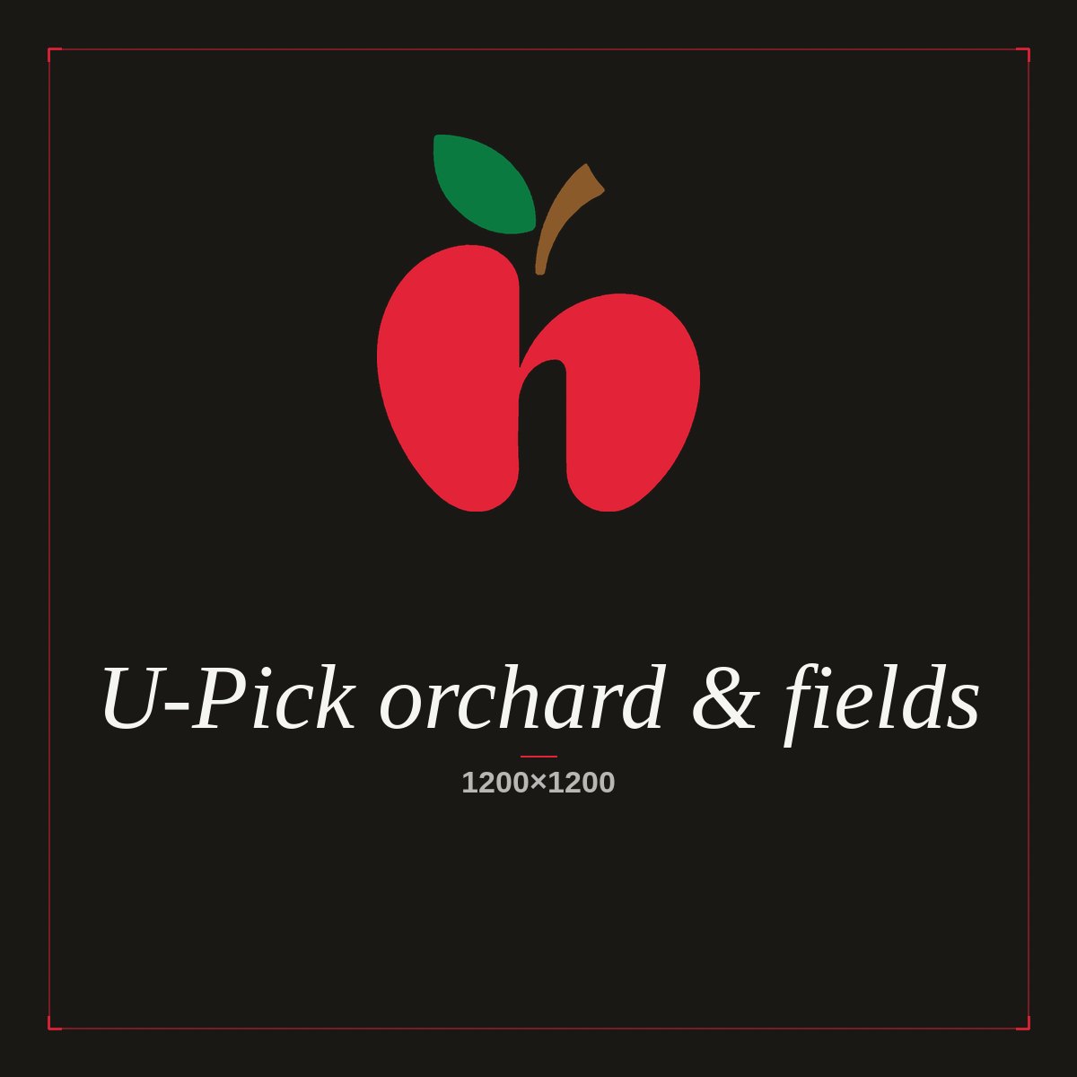 U-Pick orchard and fields